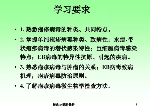 医学微生物学疱疹病毒医学PPT课件
