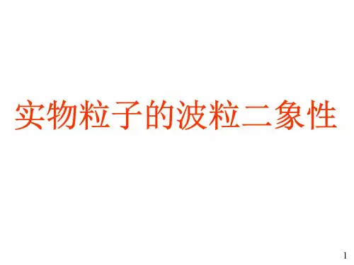 实物粒子的波粒二象性