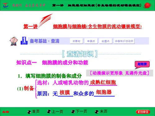 第一讲  细胞膜与细胞核(含生物膜的流动镶嵌模型)
