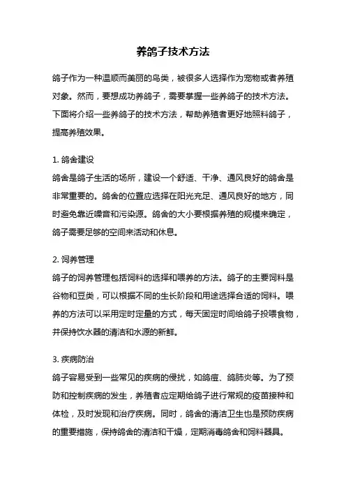 养鸽子技术方法