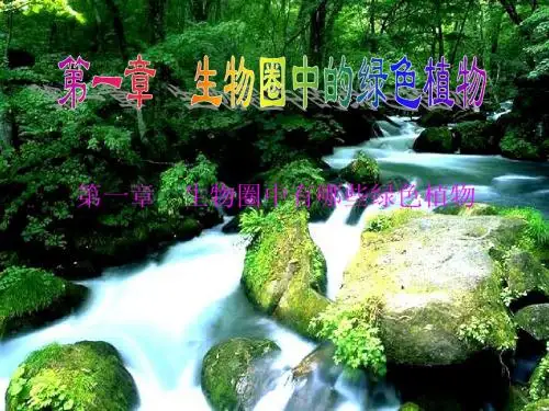 藻类、苔藓和蕨类植物