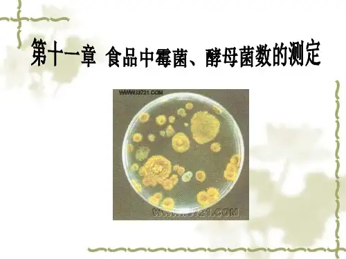 霉菌和酵母菌的检测