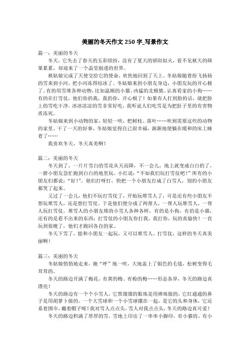 美丽的冬天作文250字_写景作文_1
