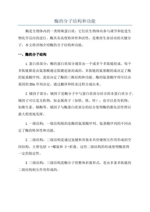 酶的分子结构和功能