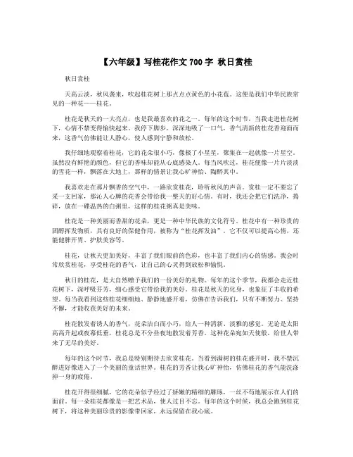 【六年级】写桂花作文700字 秋日赏桂