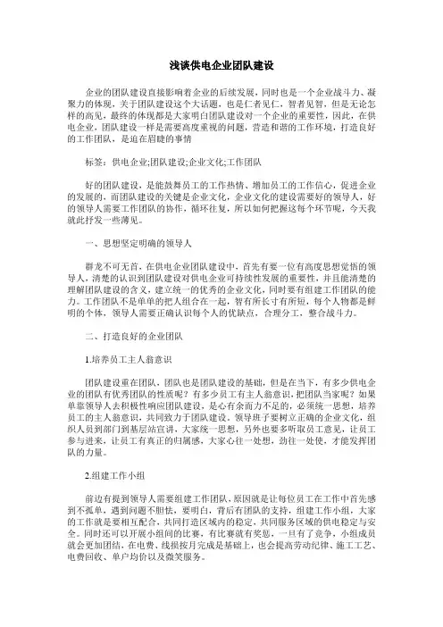 浅谈供电企业团队建设