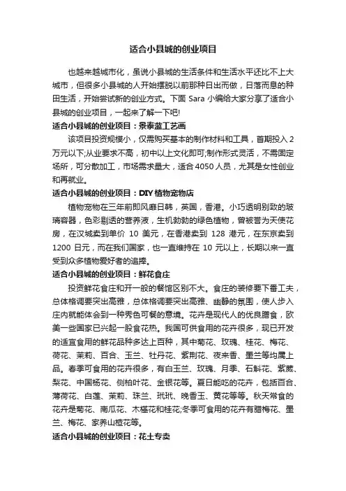 适合小县城的创业项目