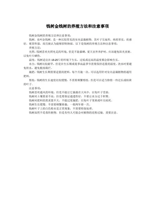 钱树金钱树的养殖方法和注意事项