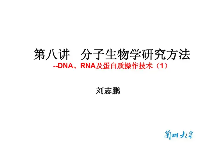 第 8 讲 DNA RNA 蛋白质操作技术(1)