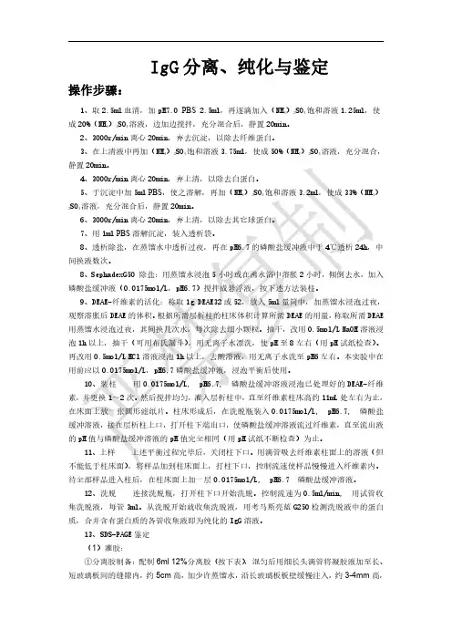 IgG的分离、提取与鉴定