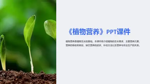 《植物营养》课件