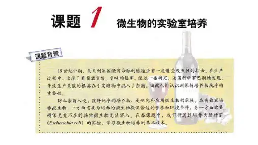 专题二课题1 微生物的实验室培养