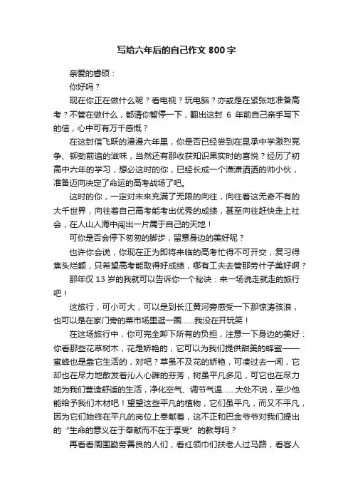 写给六年后的自己作文800字
