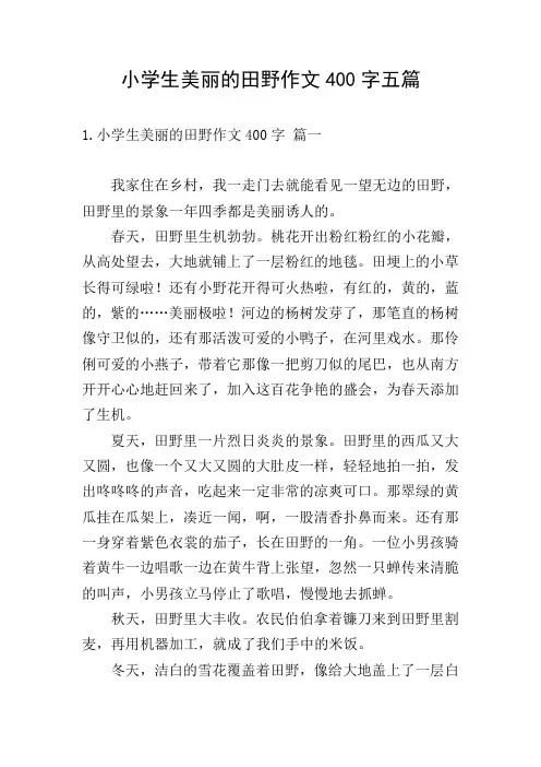 小学生美丽的田野作文400字五篇