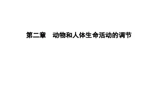 高中生物 第二章 1.2兴奋在神经元之间的传递、神经系统的分级调节和人脑的高级功能课件 新人教版必修3