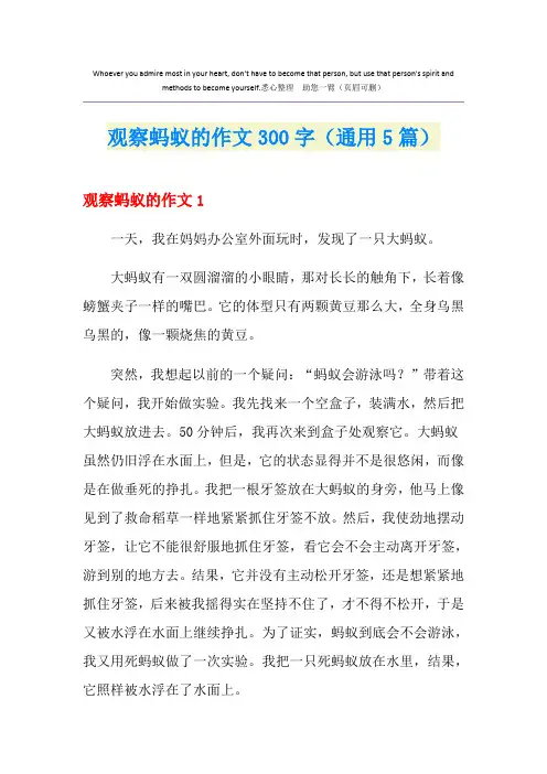 观察蚂蚁的作文300字(通用5篇)