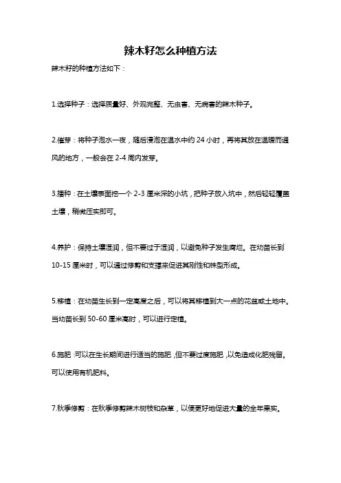辣木籽怎么种植方法