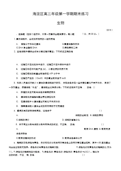 精选试卷北京市海淀区2019届高三上学期期末考试生物测试题(有答案)