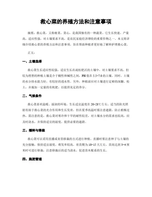 救心菜的养殖方法和注意事项