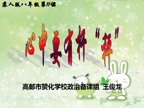 4.11.9 《.心中要有杆“秤》课件 (苏教版八年级政治下) (17)