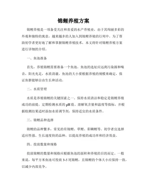 锦鲤养殖方案