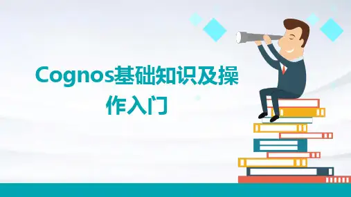 Cognos基础知识及操作入门