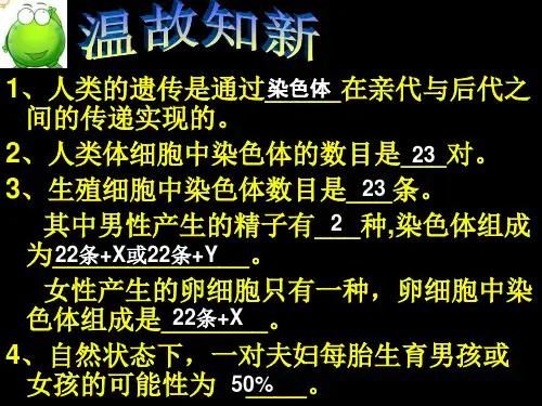 (初中生物)性状的遗传