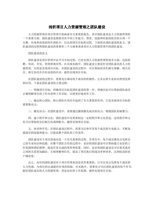 浅析项目人力资源管理之团队建设