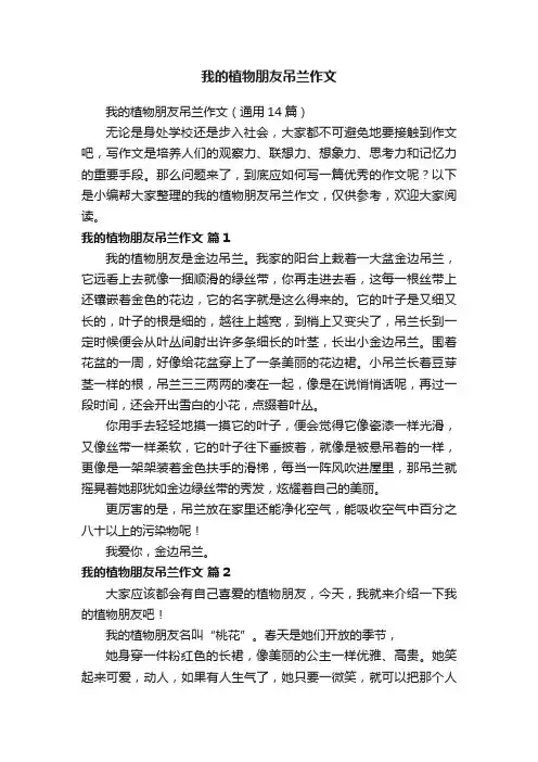 我的植物朋友吊兰作文（通用14篇）