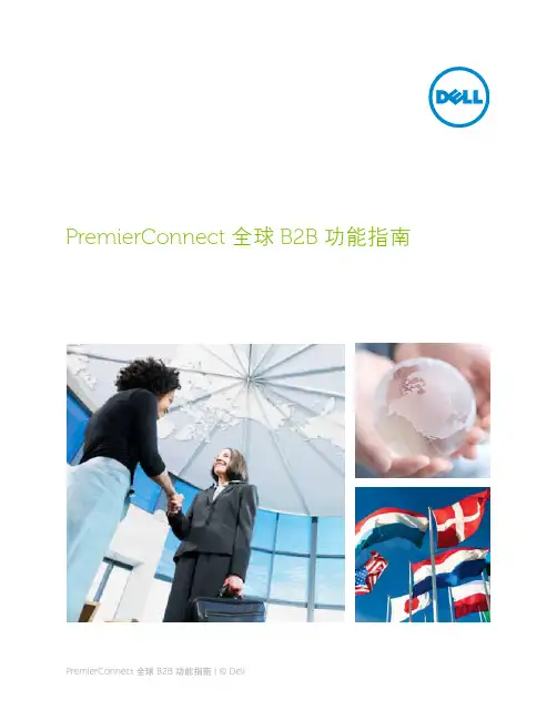 PremierConnect 全球 B2B 功能指南说明书