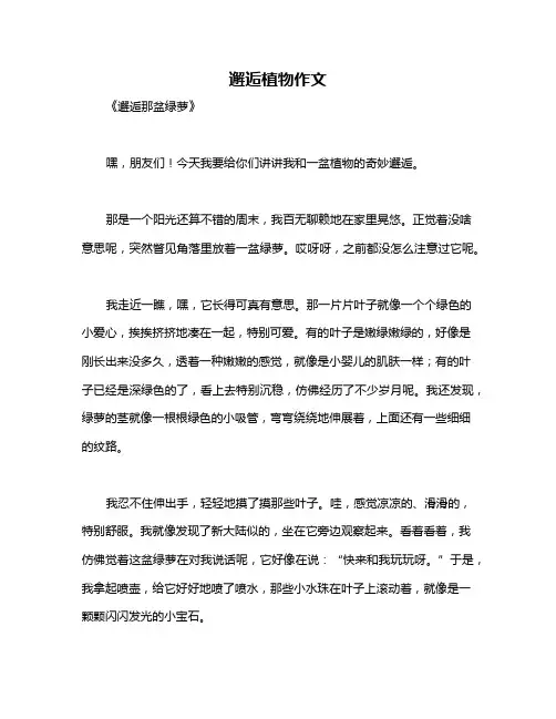 邂逅植物作文