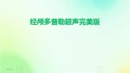 经颅多普勒超声完美版-2024鲜版
