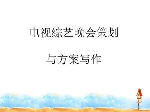 电视综艺晚会策划和方案写作讲义