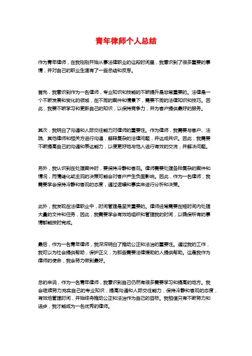 青年律师个人总结