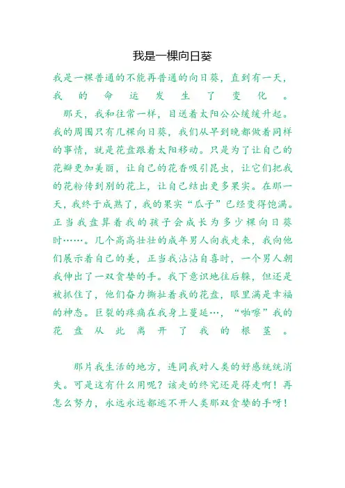 我是一棵向日葵