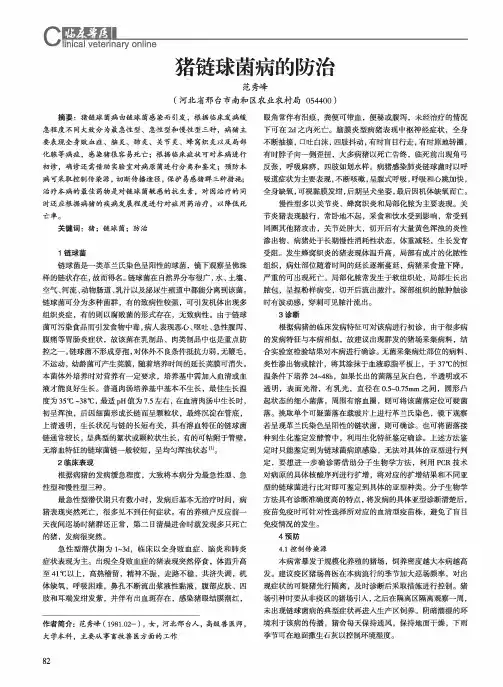 猪链球菌病的防治