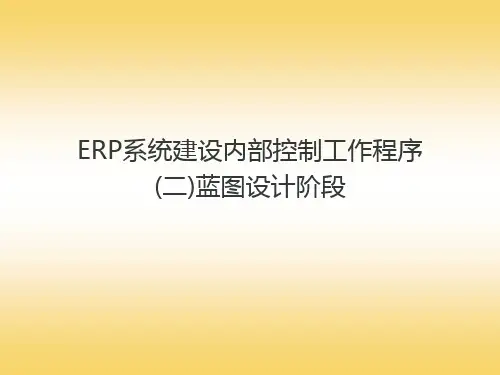 ERP系统建设内部控制工作程序-蓝图设计阶段