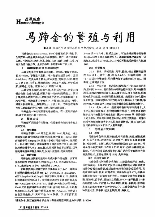 马蹄金的繁殖与利用