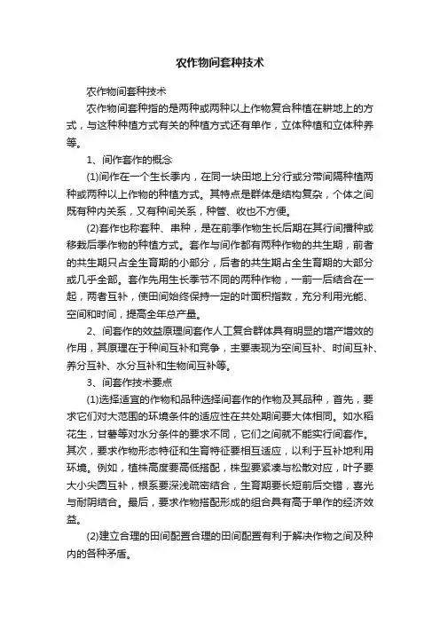 农作物间套种技术