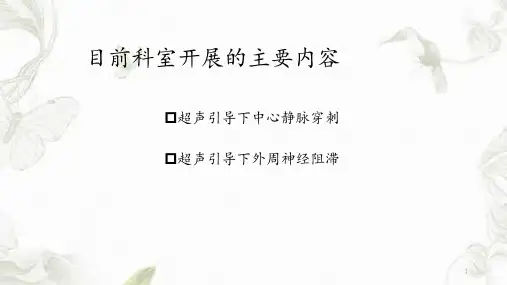 超声在麻醉科应用(学习重点)
