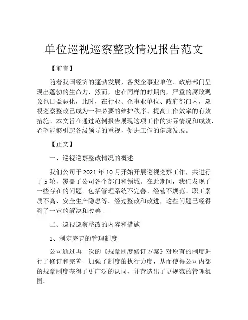 单位巡视巡察整改情况报告范文