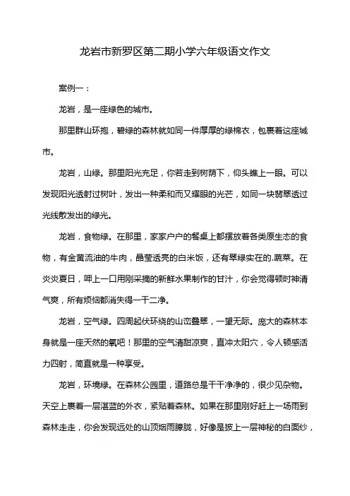 龙岩市新罗区第二期小学六年级语文作文