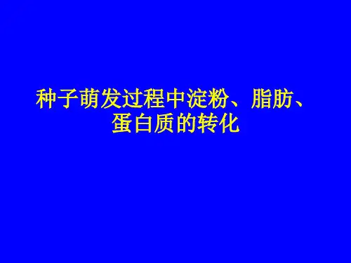 种子萌发过程中淀粉、脂肪、蛋白质的转化---文本资料