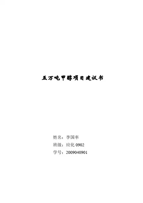 地下气化生产5万吨甲醇项目建议书