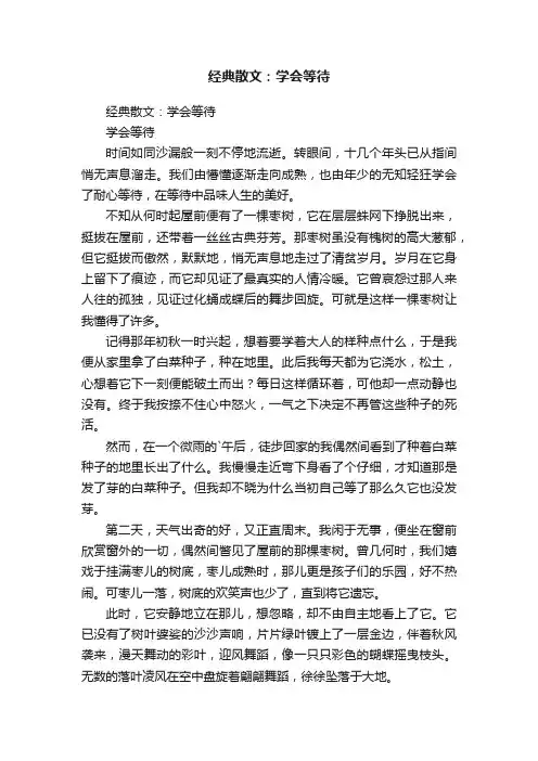 经典散文：学会等待
