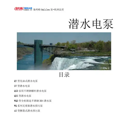 潜水电泵