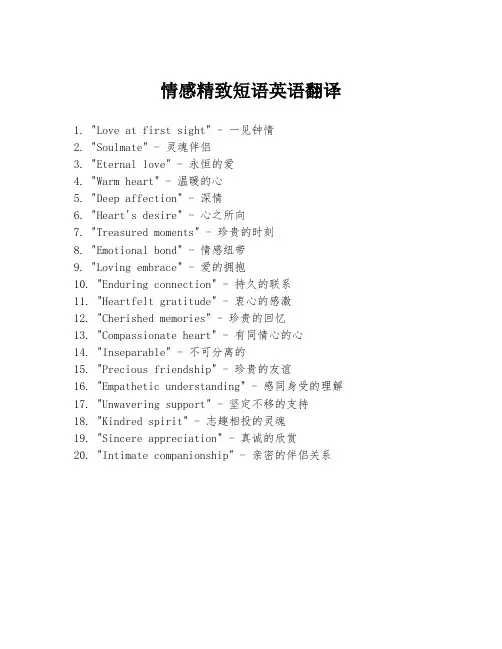 情感精致短语英语翻译