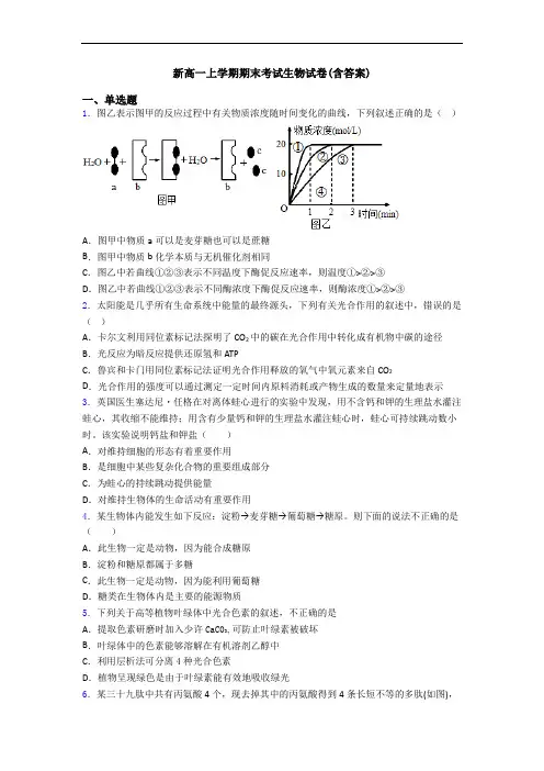 新高一上学期期末考试生物试卷(含答案)