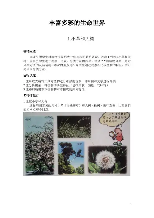 小学科学教与学六年级上册第一单元·丰富多彩的生命世界