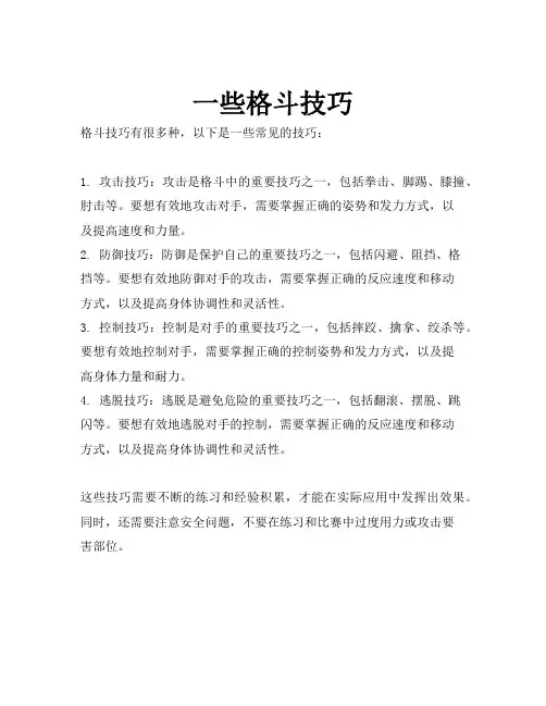 一些格斗技巧